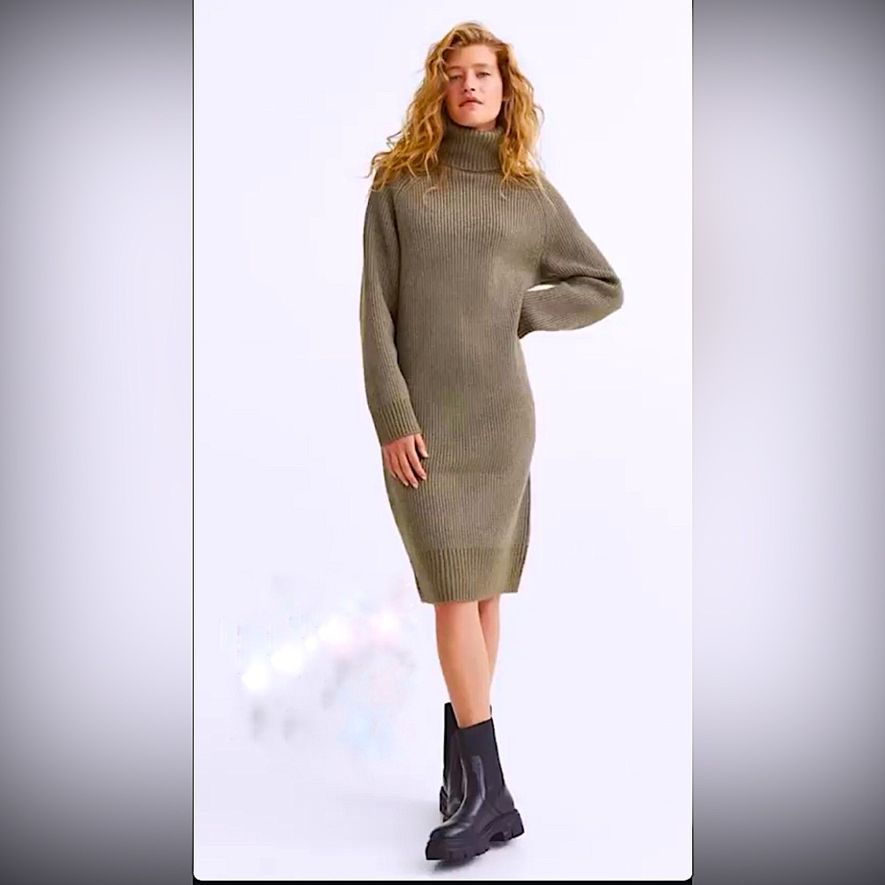 H&M Turtleneck Sweater Dress